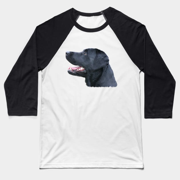 Black Labrador Baseball T-Shirt by dodgerfl